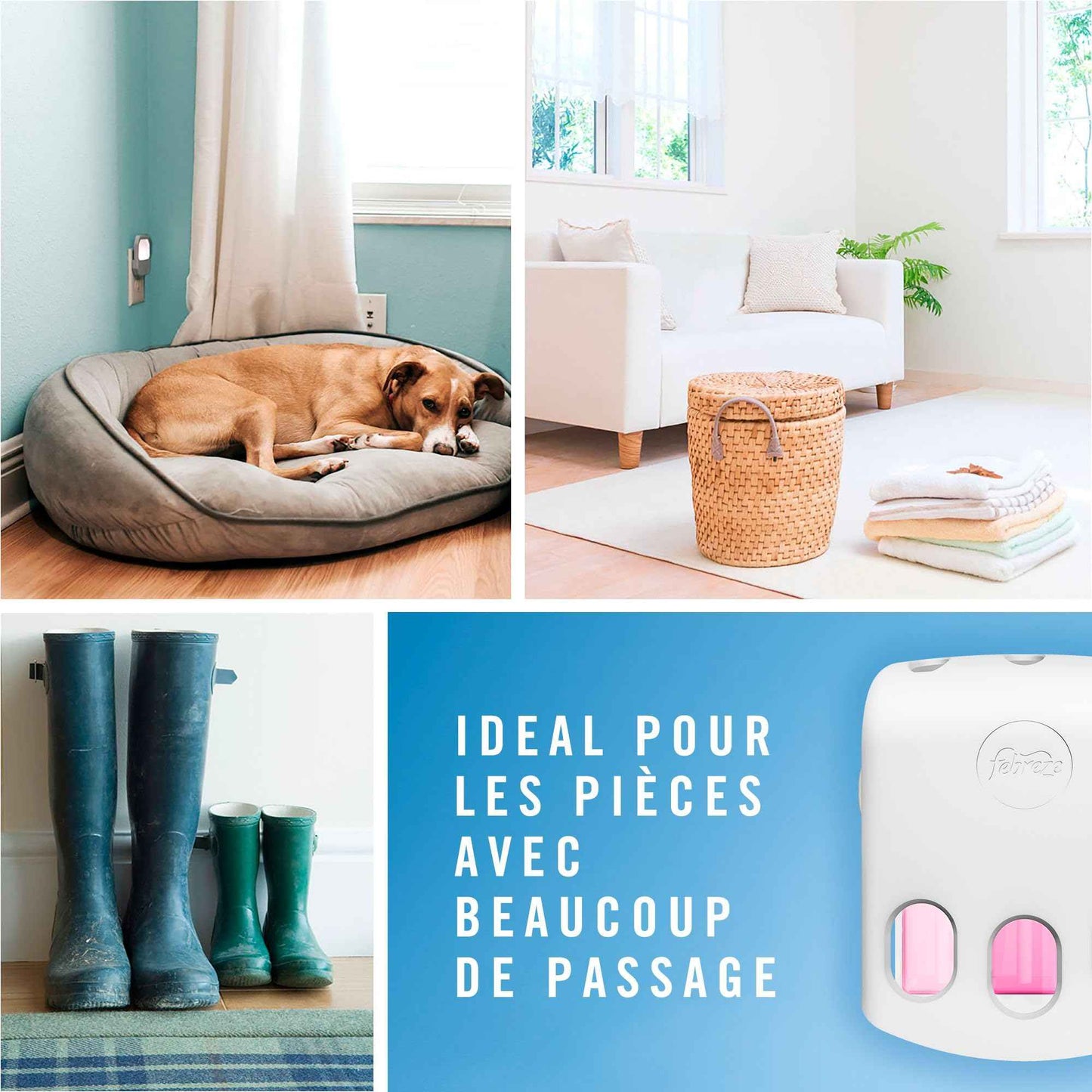 Febreze 3Volution Diffuseur Électrique Pureté De Coton, Kit Complet (Prise + 4 Recharges de 20ml), Désodorisant Maison avec Programmation Intelligente, Pour Un An de Fraîcheur - Cpourtoi.Net