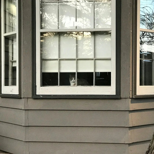 Maison connectée en Côte d'Ivoire : Une nouvelle ère pour le confort et l'efficacité énergétique - Cpourtoi.Net