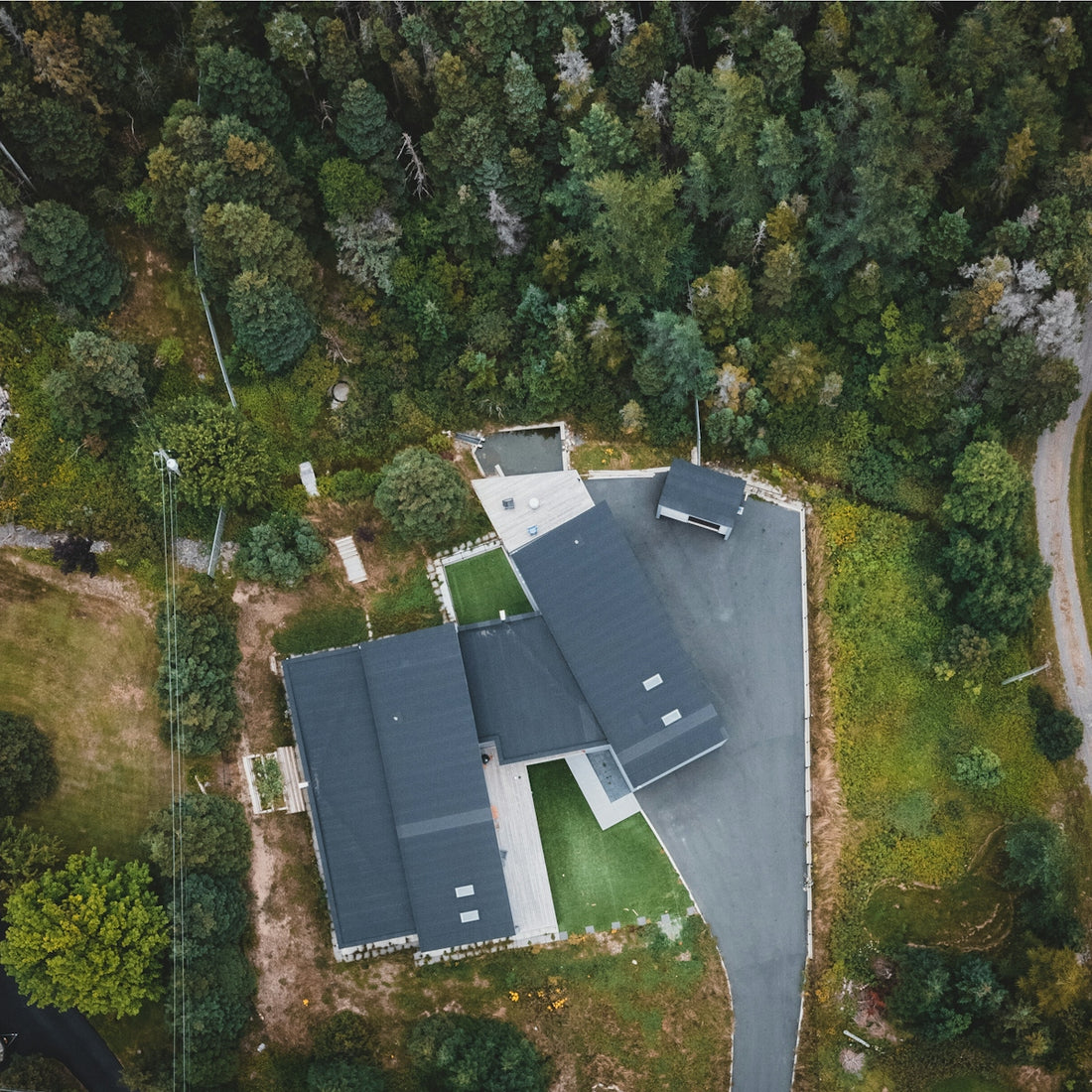 aerial view of green trees and green grass field