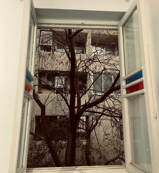 an open window with a tree in front of it