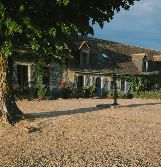 Rustic stone farmhouse with shutters and a large tree