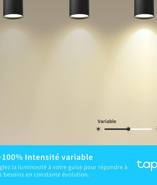 Tapo Ampoule L510 E WiFi , E27 LED lumière, blanc chaud, 2700K, Dimmable 8.7W 806Lm, Compatible avec Alexa et Google Home,