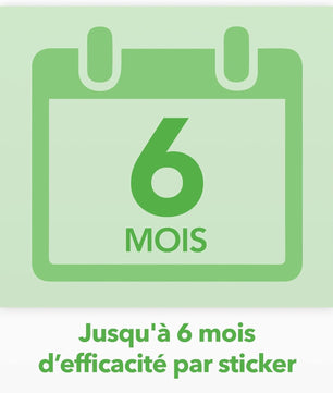 Raid Essentials Piège Anti-Mouches - Stickers Fenêtres - Jusqu'à 6 Mois d'Efficacité - 6 Pièges