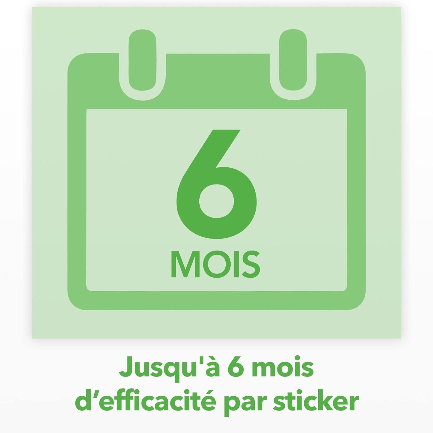 Raid Essentials Piège Anti-Mouches - Stickers Fenêtres - Jusqu'à 6 Mois d'Efficacité - 6 Pièges