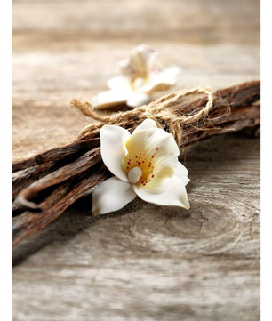 Goatier Esprit gousse de vanille 200 ML - Cpourtoi.Net