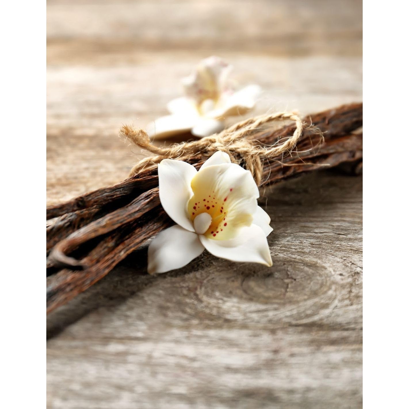 Goatier Esprit gousse de vanille 200 ML - Cpourtoi.Net