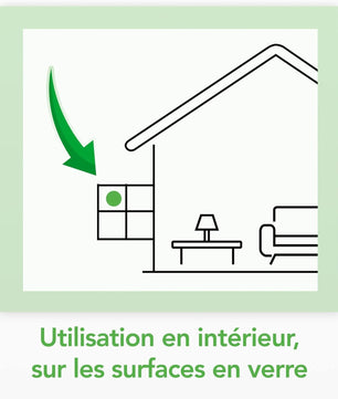 Raid Essentials Piège Anti-Mouches - Stickers Fenêtres - Jusqu'à 6 Mois d'Efficacité - 6 Pièges