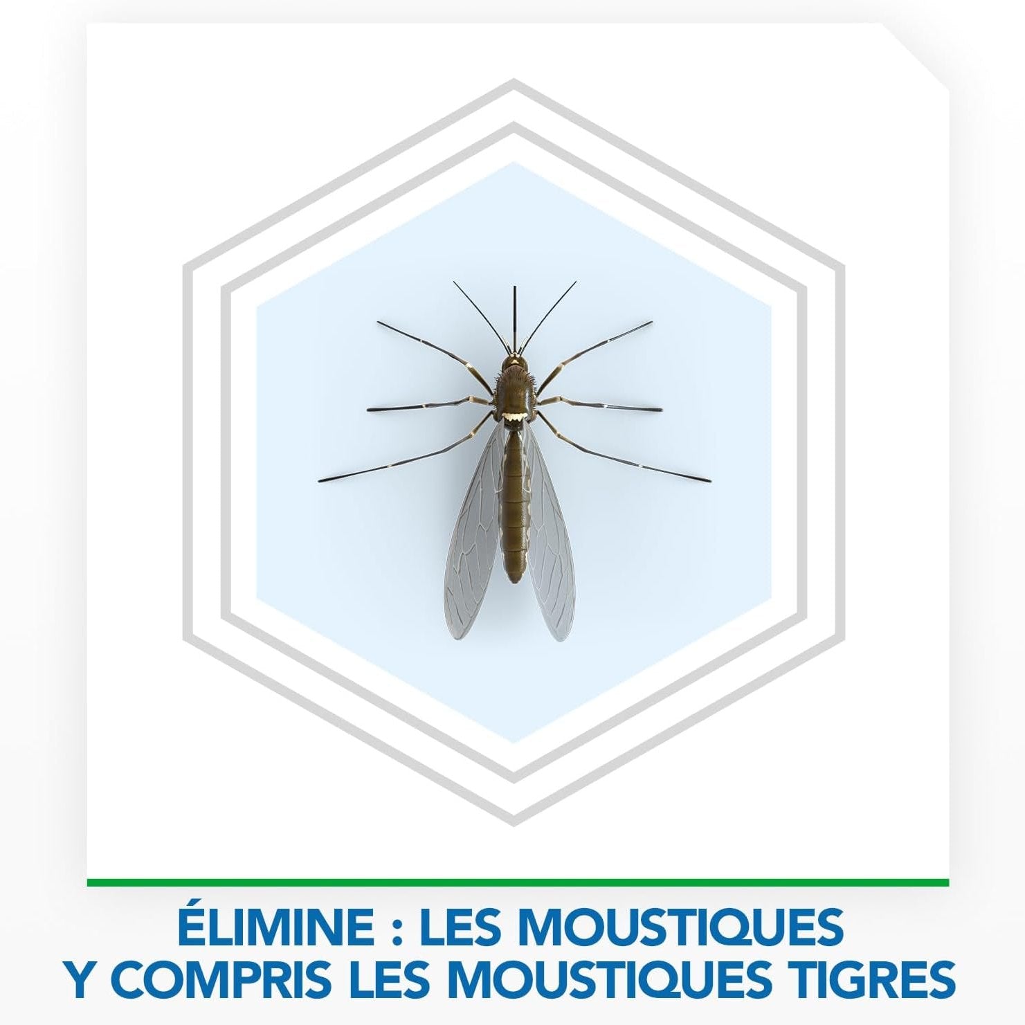 Illustration d’un moustique tigre ciblé par Raid Anti Moustiques, efficacité prouvée contre les moustiques domestiques et tropicaux.