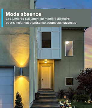 Mode absence activé sur la prise Tapo P100 pour simuler une présence en allumant les lumières automatiquement.