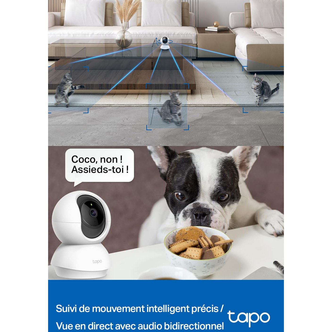 Caméra Tapo C200 suivant les mouvements d’un chien et de chats dans un salon, avec audio bidirectionnel et suivi intelligent.