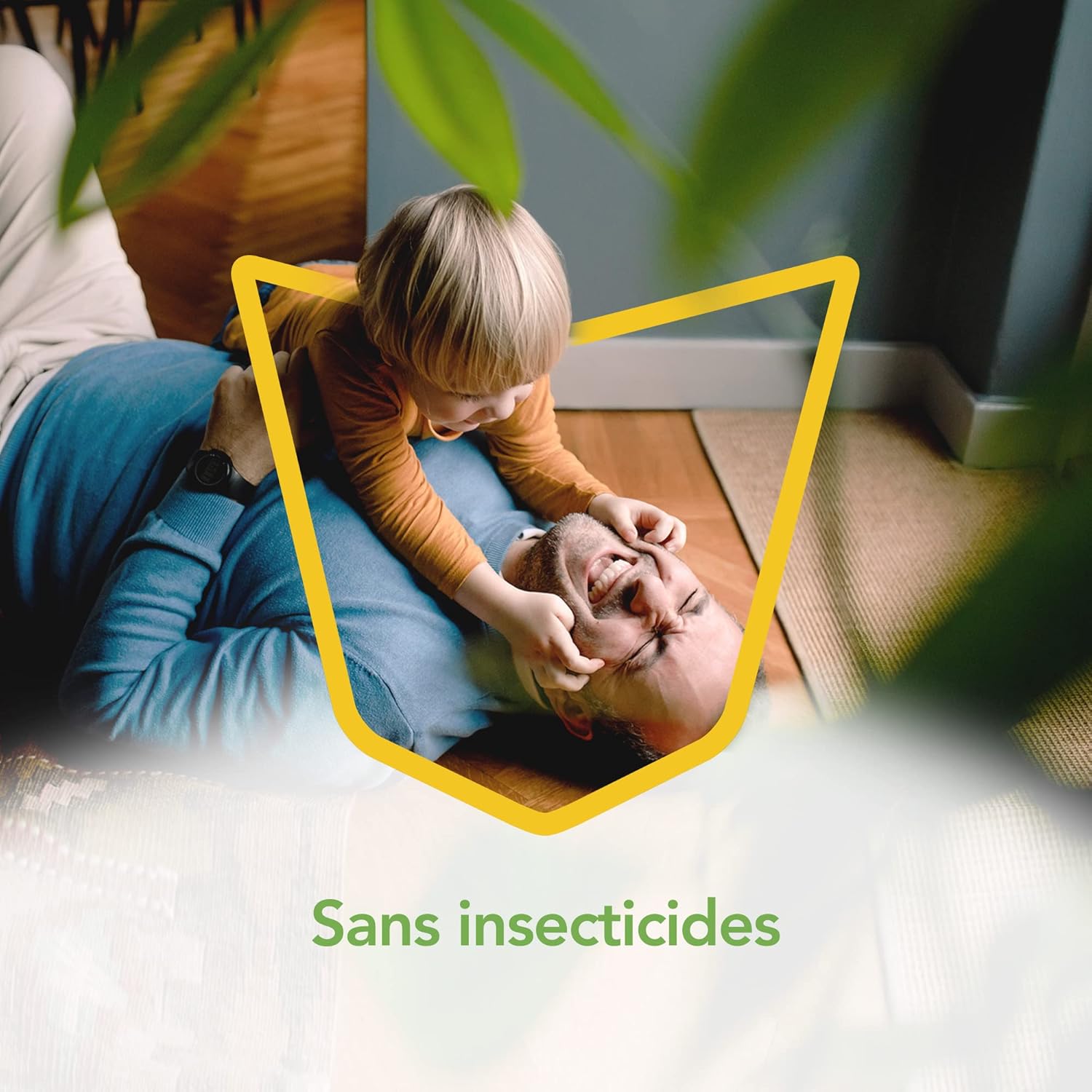 Raid Essentials Piège Anti-Mouches - Stickers Fenêtres - Jusqu'à 6 Mois d'Efficacité - 6 Pièges