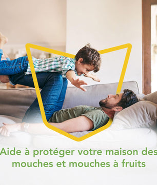 Raid Essentials Piège Anti-Mouches - Stickers Fenêtres - Jusqu'à 6 Mois d'Efficacité - 6 Pièges