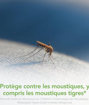 Raid Essentials Recharge Diffuseur Électrique Liquide- Répulsif Moustiques et Moustiques Tigres 45 Nuits - Senteur Eucalyptus et Agrumes - 1 Recharge - Cpourtoi.Net