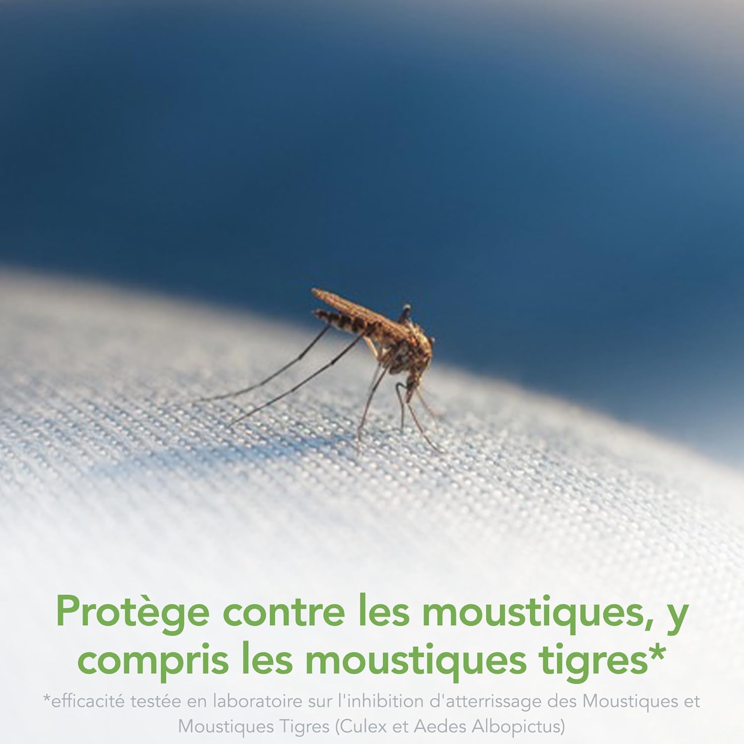 Raid Essentials Recharge Diffuseur Électrique Liquide- Répulsif Moustiques et Moustiques Tigres 45 Nuits - Senteur Eucalyptus et Agrumes - 1 Recharge - Cpourtoi.Net