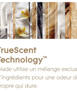 Glade Aérosol - Elimine Les Odeurs - Parfum Frais - Infusé Aux Huiles Essentielles - Romantic Vanilla Blossom - 6 Aérosols