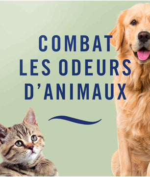 Febreze Désodorisant Textile, Lenor Coup De Foudre, Technologie OdourClear - Cpourtoi.Net