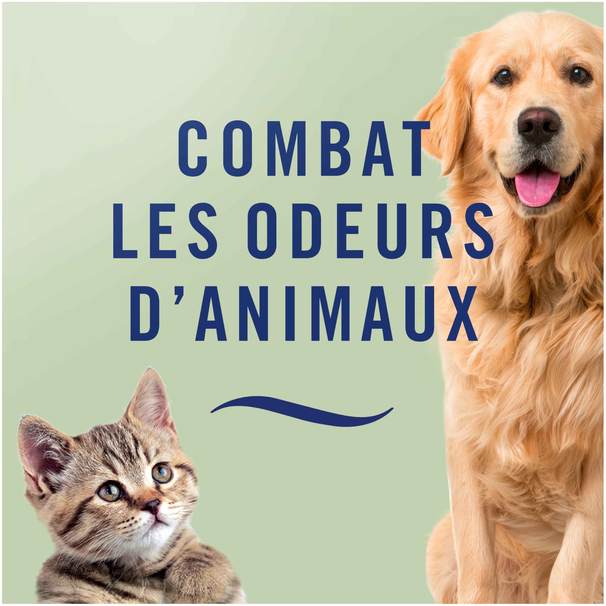 Febreze Désodorisant Textile, Lenor Coup De Foudre, Technologie OdourClear - Cpourtoi.Net