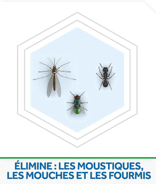 Raid Recharge Pour Diffuseur Électrique Night et Day Mouches, Moustiques et Moustiques Tigres, 240 heures