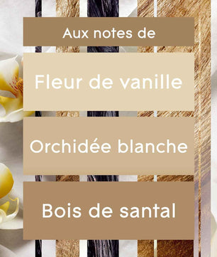 Glade Aérosol - Elimine Les Odeurs - Parfum Frais - Infusé Aux Huiles Essentielles - Romantic Vanilla Blossom - 6 Aérosols