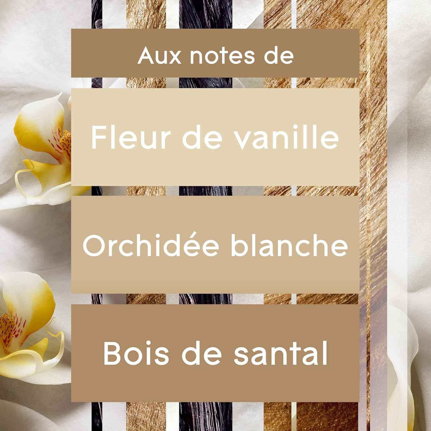 Glade Aérosol - Elimine Les Odeurs - Parfum Frais - Infusé Aux Huiles Essentielles - Romantic Vanilla Blossom - 6 Aérosols