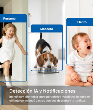 Tapo C220 2.5K Caméra de Surveillance WiFi intérieure 360° avec Détection Humaine AI - Cpourtoi.Net