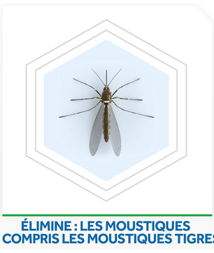 Raid Max Prise Anti-Moustiques Électrique Liquide - Moustiques et Moustiques Tigres 60 Nuits - 1 Diffuseur + 1 Recharge - Sans Parfum
