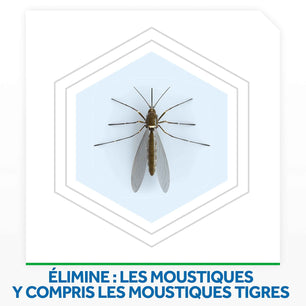 Raid Diffuseur Electrique Liquide 3en1 - Moustiques & Moustiques Tigres - 1 Diffuseur + 1 Recharge 45 Nuits