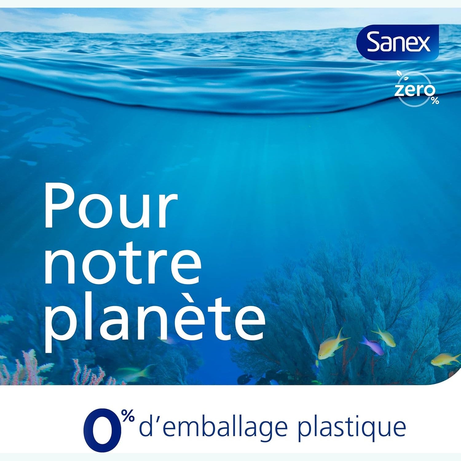 Roll-On deodorant SANEX - Natur Protect pierre d'alun - Cpourtoi.Net