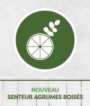 Pyrel Diffuseur Liquide Repulsif Moustiques Agrumes Boises 45 Nuits 32Ml
