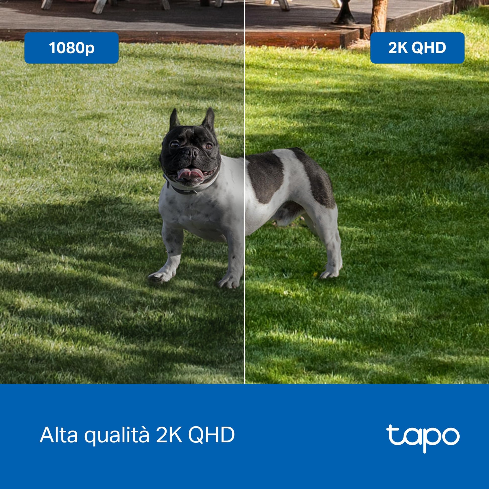 Tapo 2.5K 4MP Caméra Surveillance WiFi Extérieure sans Fil avec Panneau Solaire Batterie 10 000mAh, Autonomie de 300j,