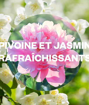 Air Wick Recharges Diffuseur d'Huiles Essentielles Essential Mist Parfum Jasmin/Pivoine 20 ML, Lot de 3