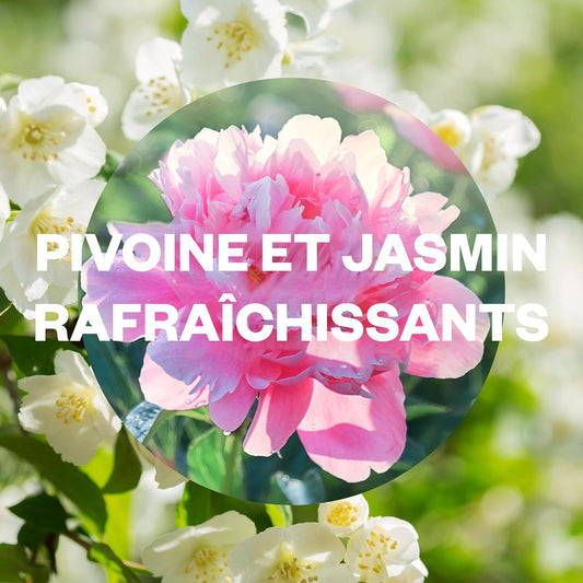 Air Wick Recharges Diffuseur d'Huiles Essentielles Essential Mist Parfum Jasmin/Pivoine 20 ML, Lot de 3