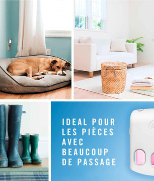 Diffuseur Febreze 3Volution idéal pour les pièces fréquentées, comme les salons ou entrées, parfum Pureté De Coton, fraîcheur continue