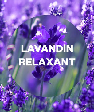 Air Wick Recharges Diffuseur Parfum Lavande et Camomile - Essential Mist aux Huiles Essentielles - 20 ML, Lot de 3 Bleu