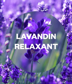 Zoom sur fleurs de lavande avec texte Lavandin Relaxant, illustrant le parfum du diffuseur Air Wick Essential Mist - Cpourtoi.Net.
