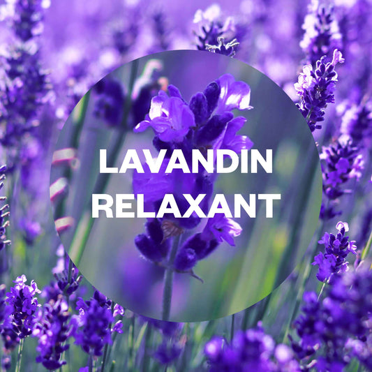 Zoom sur fleurs de lavande avec texte Lavandin Relaxant, illustrant le parfum du diffuseur Air Wick Essential Mist - Cpourtoi.Net.
