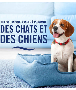 Febreze Désodorisant Textile, Lenor Coup De Foudre, Technologie OdourClear - Cpourtoi.Net