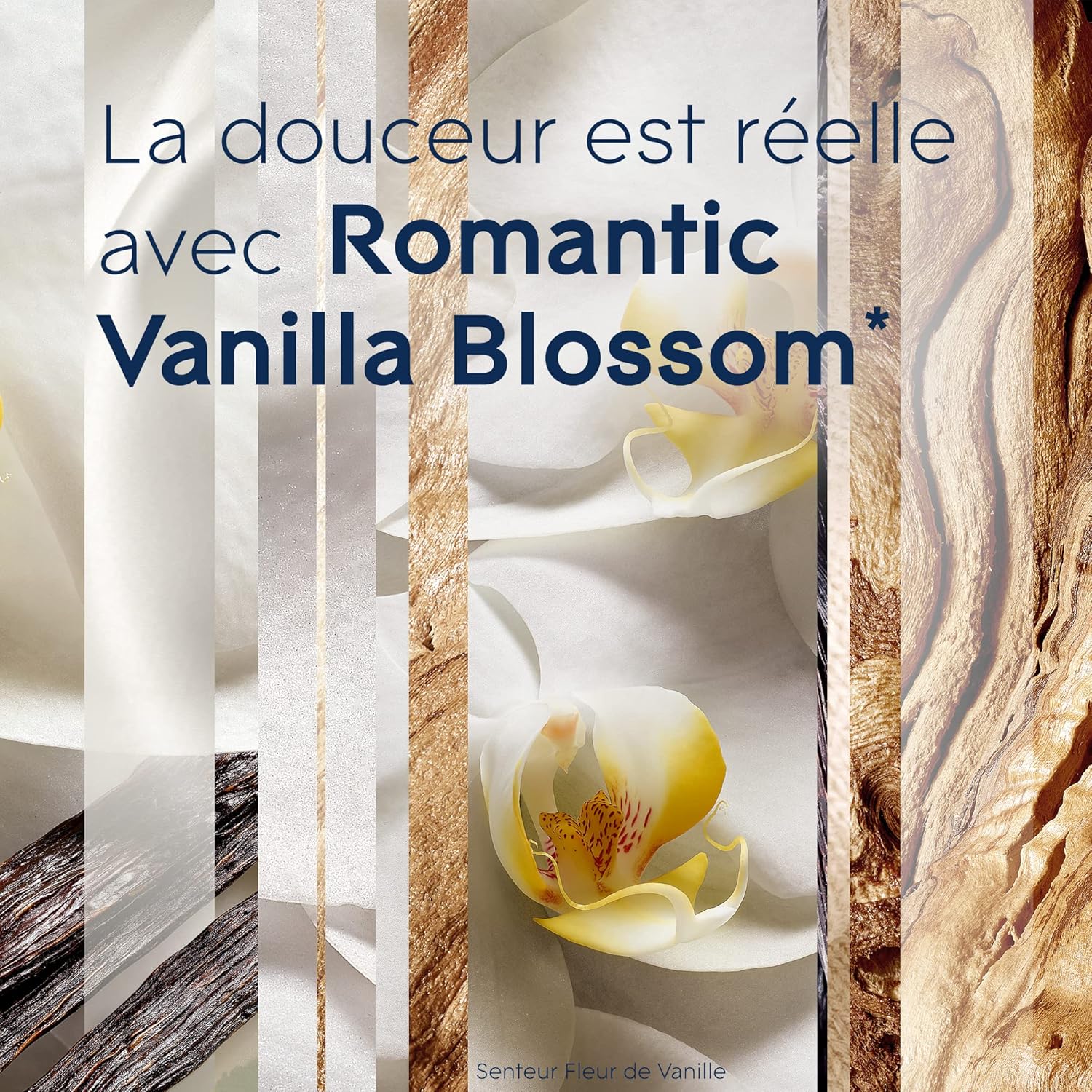 Glade Aérosol - Elimine Les Odeurs - Parfum Frais - Infusé Aux Huiles Essentielles - Romantic Vanilla Blossom - 6 Aérosols