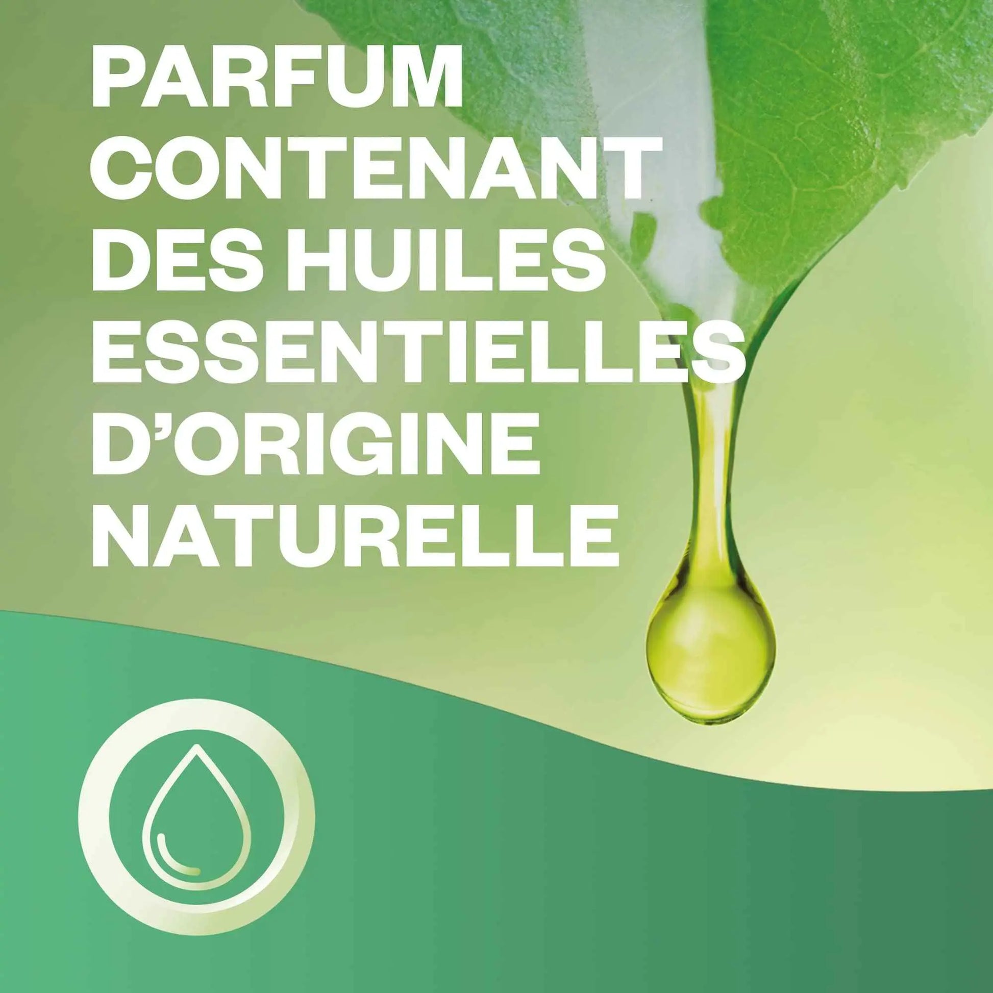 Air Wick Diffuseur Mist Lavande - Relaxant, Ambiance Zen - Cpourtoi.Net