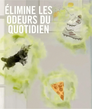 Illustration des odeurs éliminées par le Désodorisant Électrique FEBREZE, comme les chaussures, les animaux et la nourriture.