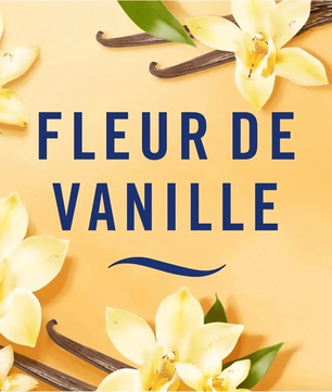 FEBREZE Petit coin Fleur de Vanille - Désodorisant, Élimine les Odeurs | Air Frais - Cpourtoi.Net