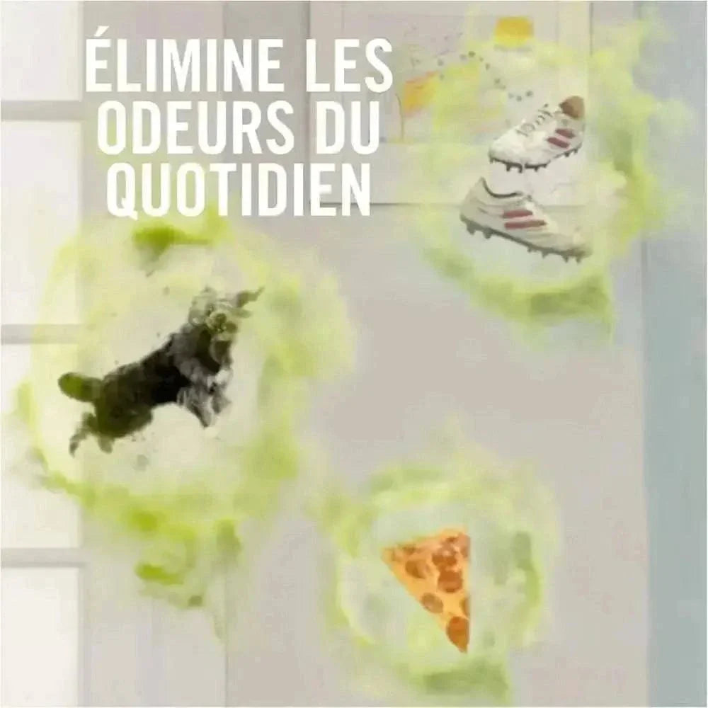 Febreze Megapack Orchidée - Fraîcheur Durable, 90 Jours - Cpourtoi.Net