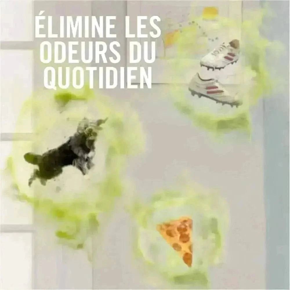 Élimine les odeurs du quotidien comme celles des chaussures, du pizza et des animaux avec FEBREZE.