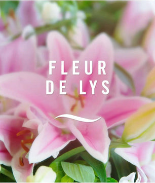 Febreze 3Volution Fleur de Lys - Recharge Désodorisant Électrique | Parfum Maison - Cpourtoi.Net