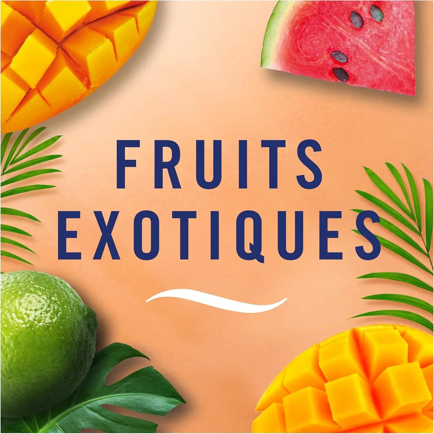 Febreze Petit Coin Fruits Exotiques - Désodorisant Continu Salle de Bain, Élimination des Odeurs et Fraîcheur d'Air - Cpourtoi.Net