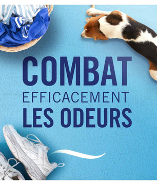 Visuel promotionnel Febreze Spray Rosée du Matin montrant son efficacité contre les odeurs dans la maison, avec vêtements, chien et chaussures.