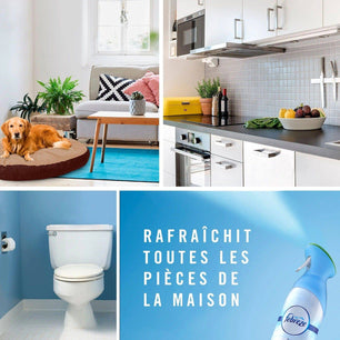 Febreze Spray Aérosol Désodorisant Rosée Du Matin (8 x 185 ml), Éliminateur D’Odeur Pour Toutes Les Pièces De La Maison, Avec Gaz Propulseur 100% Naturel Cpourtoi.Net