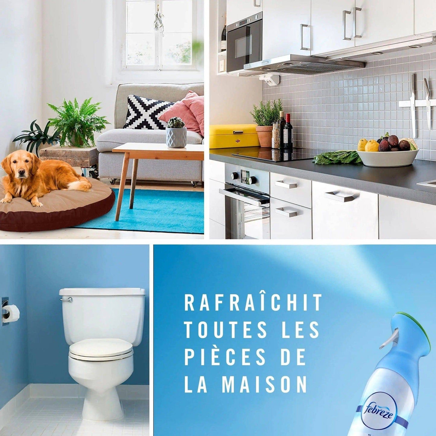 Febreze Brume D'Air Thaï Orchidée - Élimine Les Odeurs, Fraîcheur - Cpourtoi.Net