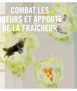 Illustration des mauvaises odeurs éliminées par Febreze Textile, comme celles des animaux, chaussures et nourriture, remplacées par une fraîcheur durable.