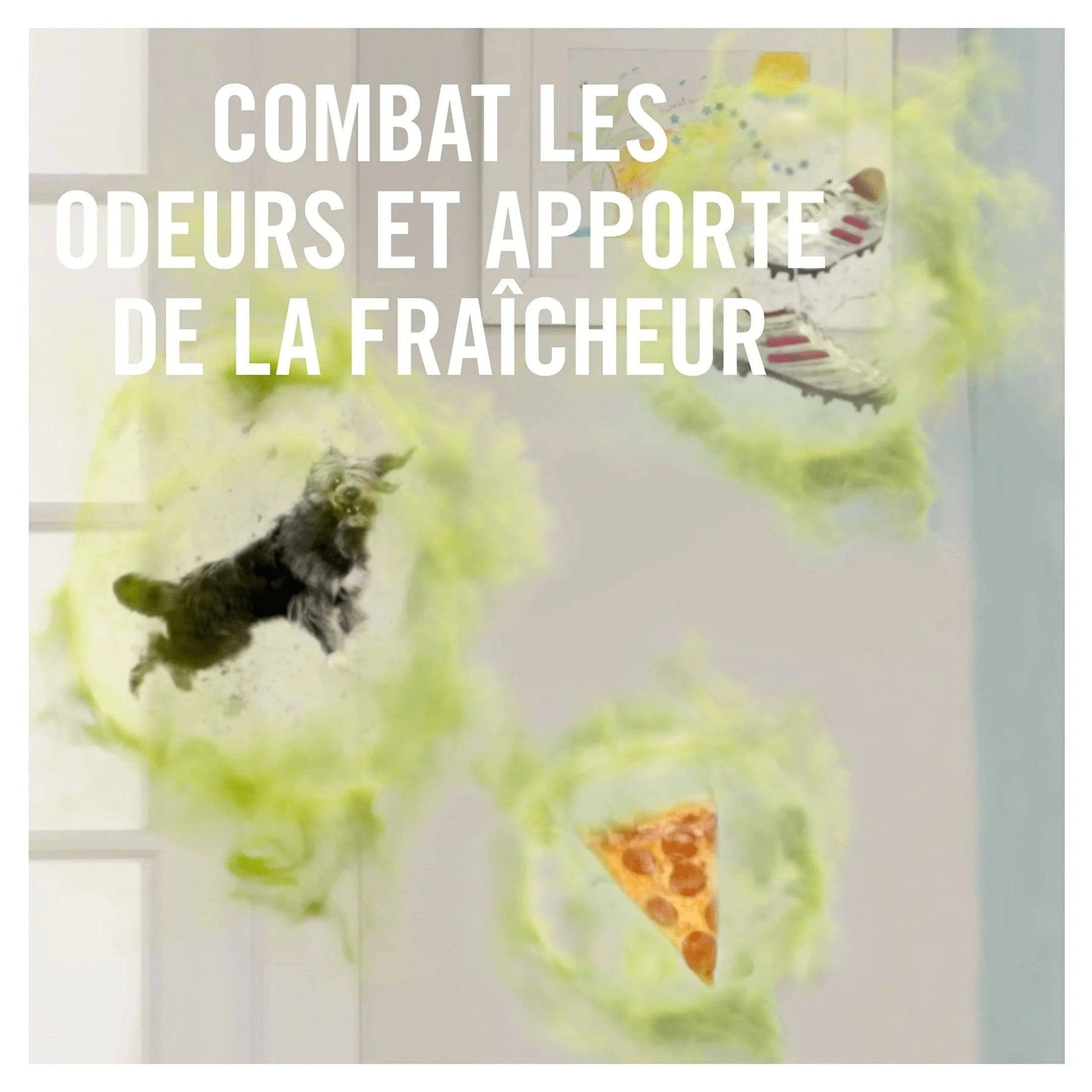 Image of Febreze Petit Coin Bambou deodorizer combatting odors like shoes and pizza with freshness, featuring a dog in the illustration.